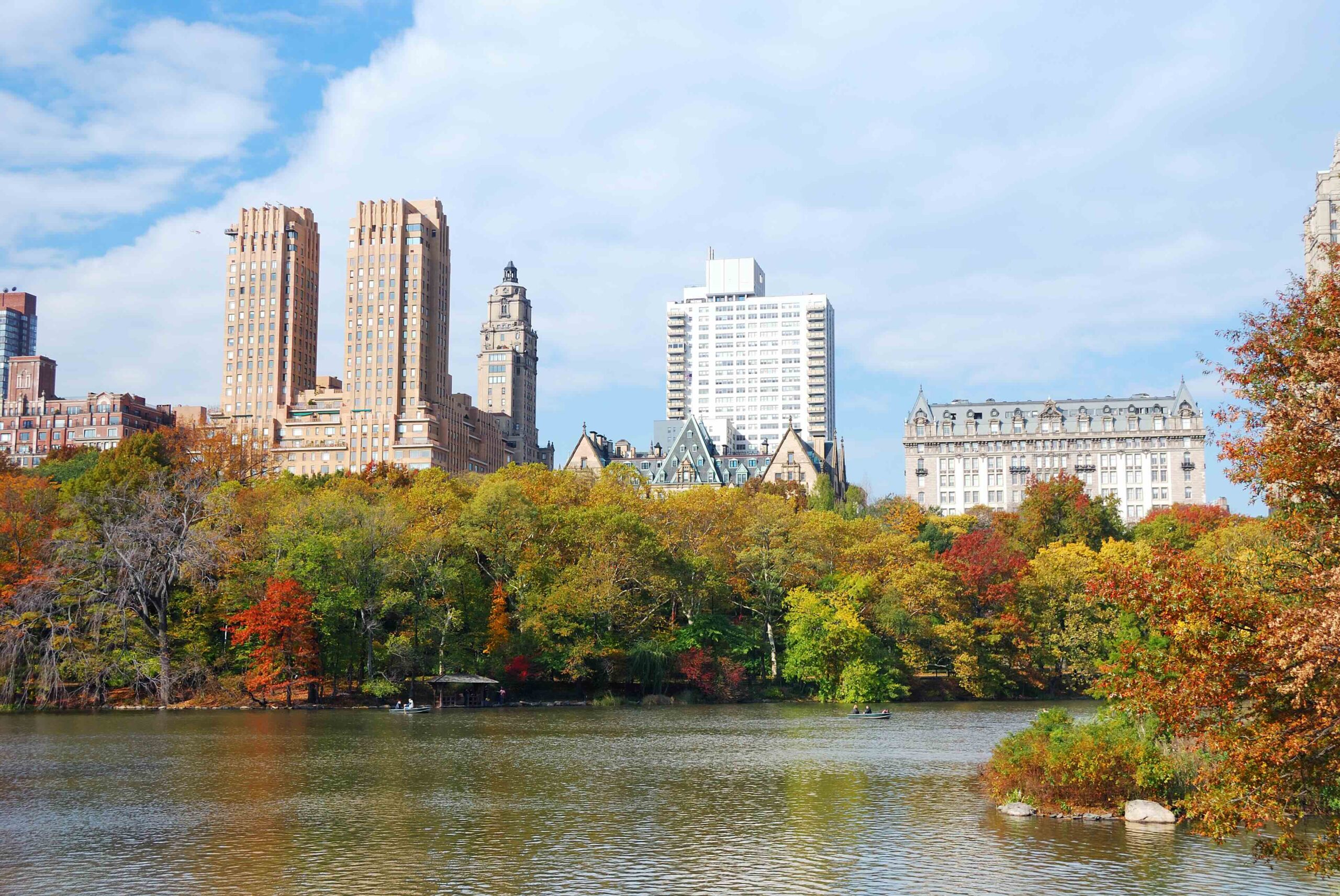 Moving Company in McLean VA
